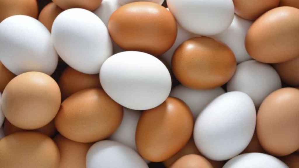 Resultado de imagen para huevos